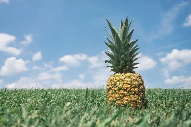 Jakie właściwości zdrowotne ma ananas?